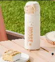 Stainless Steel insulated water bottle sipper with astraunat style top
