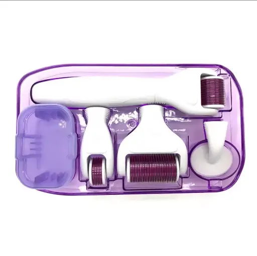 6 in 1 Derma Roller system