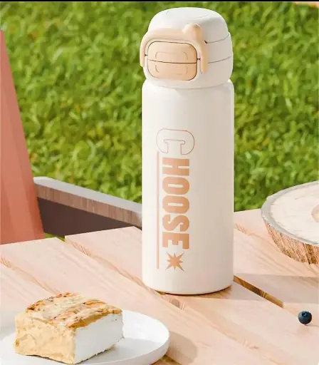 Stainless Steel insulated water bottle sipper with astraunat style top